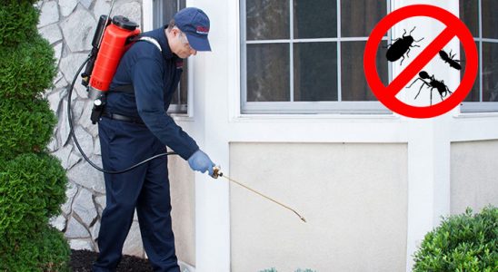 Pasinler Kemirgen İlaçlama böcek ilaçlama ve haşere kontrolü — ilaclama-tr.com